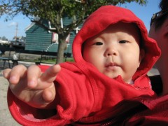 IMG_8652_conew1.jpg