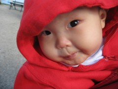 IMG_8661_conew1.jpg