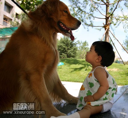 p_large_gSBj_20ac00014ec92d0b.jpg