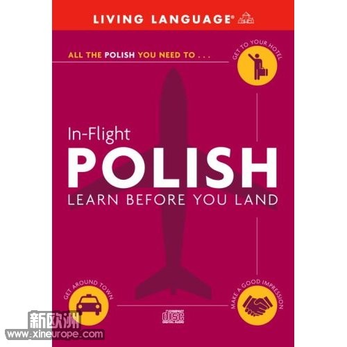 In-Flight Polish.jpg