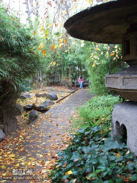 100_4123.jpg
