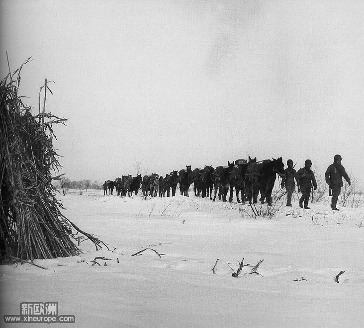 1948年1月，沈阳。在雪地里艰难行军的国军（步兵）部队。.jpg
