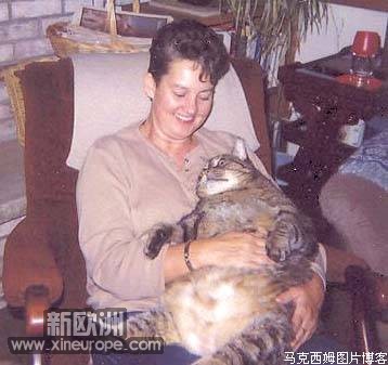 fatcat16.jpg