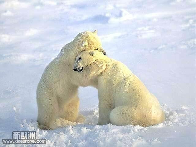 ol4_photo_qq_com.jpg