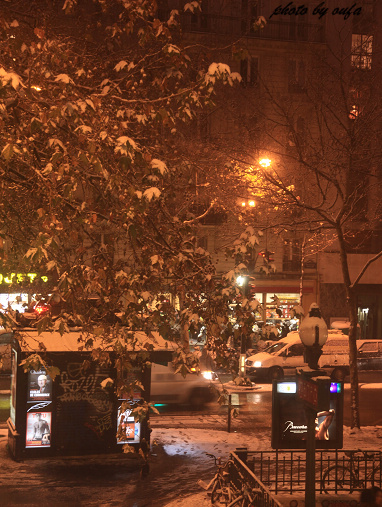 雪夜人珊