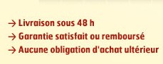1111.jpg