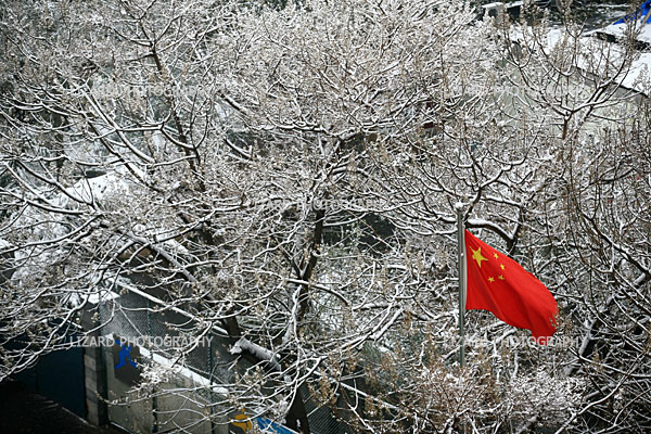 2009年11月12日 北京 前一夜迎来了北京入冬以来最大的一次降雪.jpg