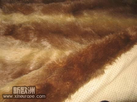 Photo 003.jpg