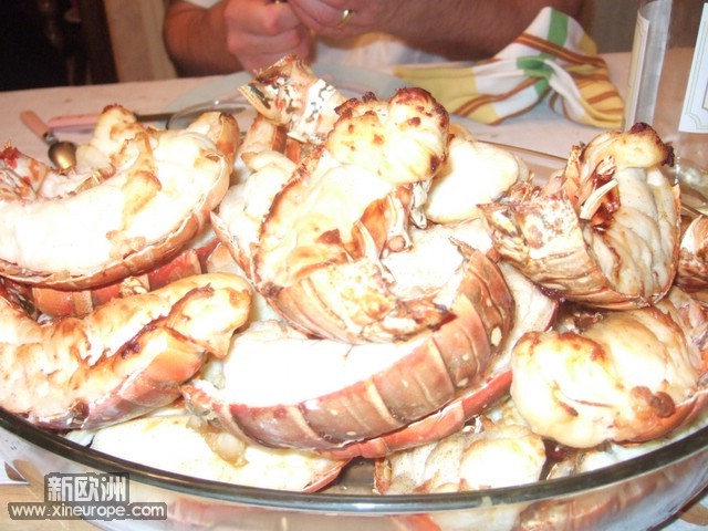DSCF1535.JPG