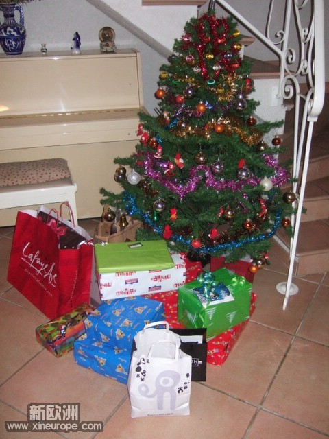 DSCF1519.JPG