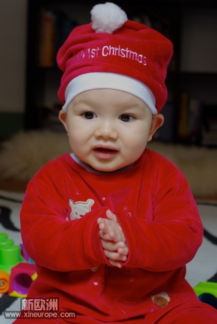 IMGP3636.jpg