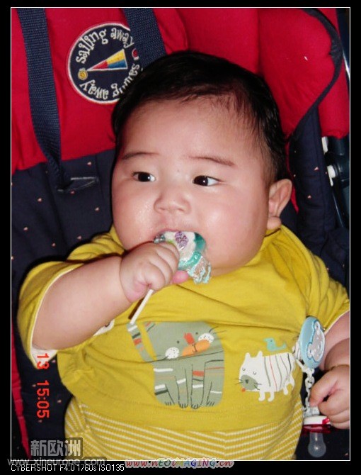 p11.JPG