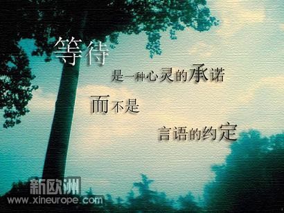 1046edcb47b027adc917689a.jpg