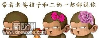 p_large_sUke_163f00062f1a2d0e.jpg