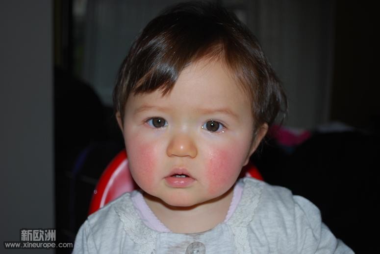 DSC_1018.JPG