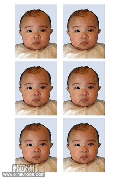 zhang2-identite.jpg