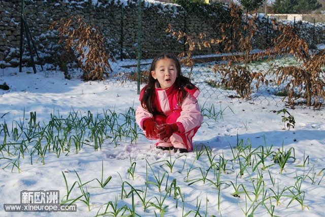 雪后菜园里的顽童 (4).jpg