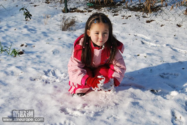 雪后菜园里的顽童 (11).jpg