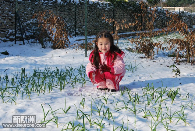 雪后菜园里的顽童 (19).jpg