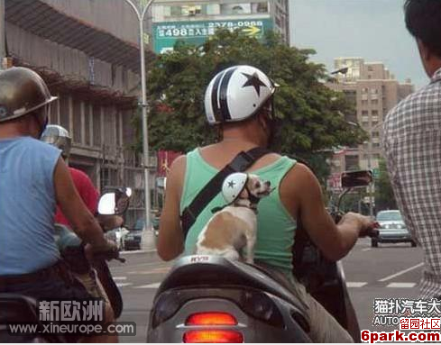 我觉得这也挺 有意思