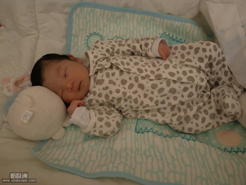 小睡美人