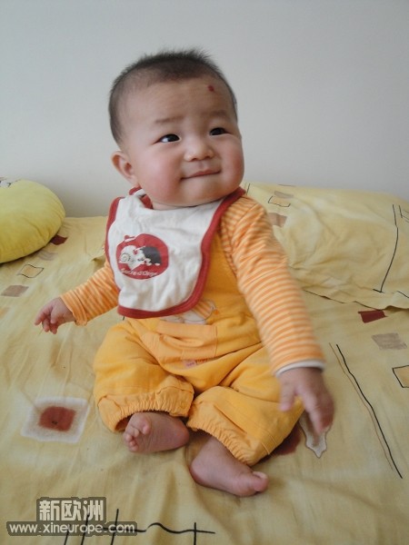DSC03513.jpg