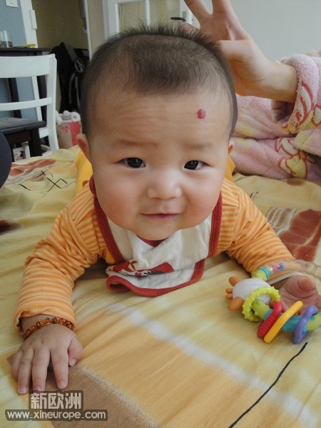 DSC03526.jpg