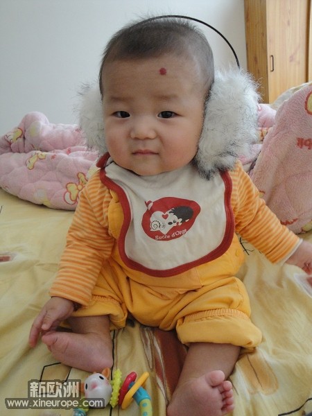 DSC03553.jpg