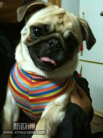 2009-11-22_0023.JPG