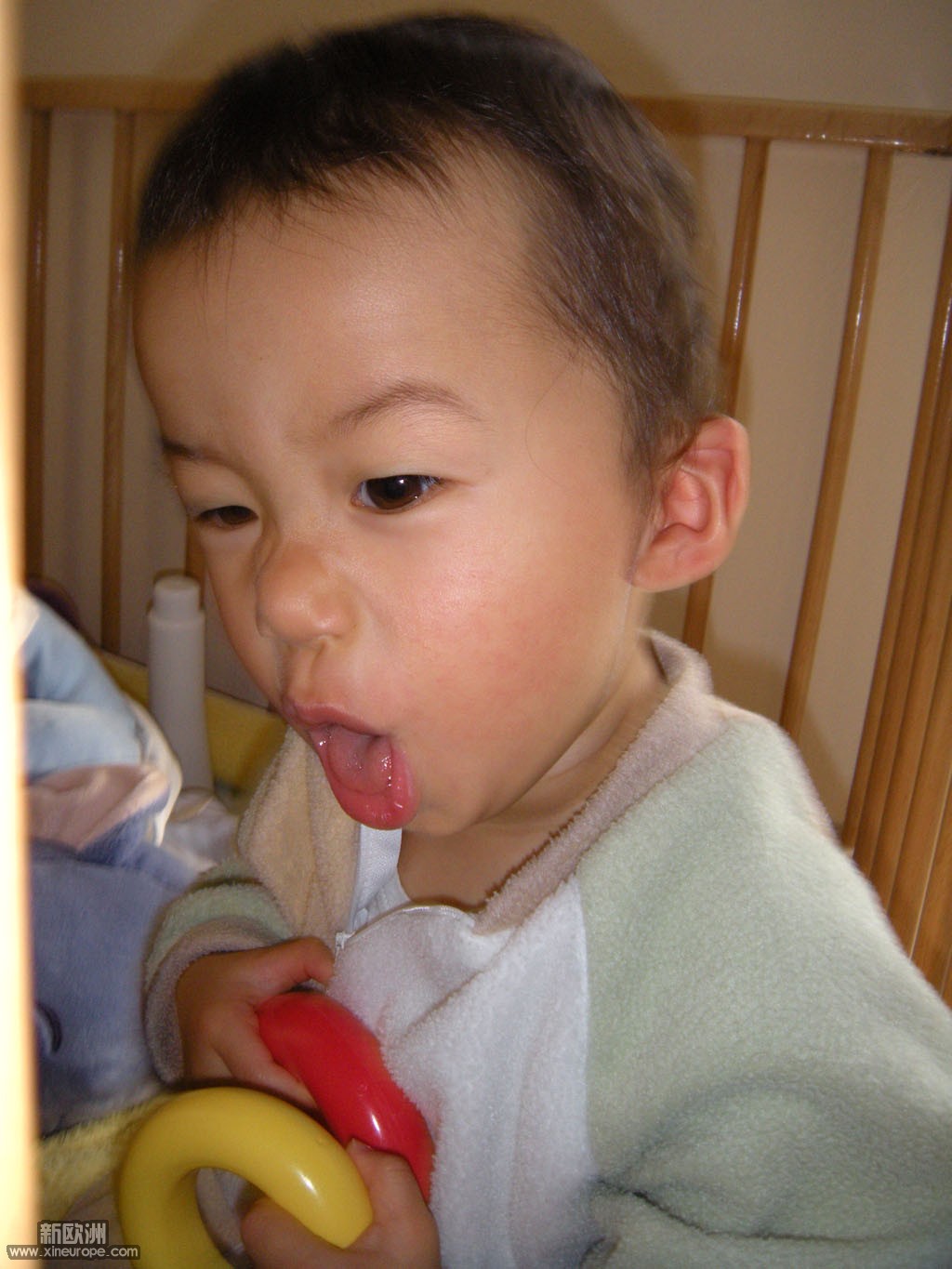 DSCN0448.jpg