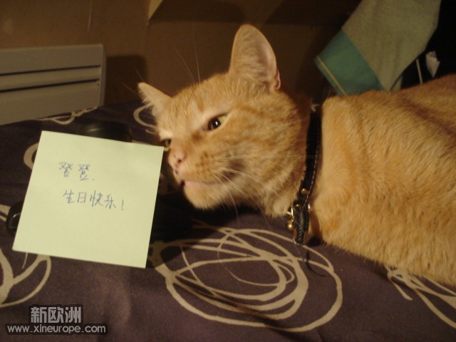 DSC00616.JPG