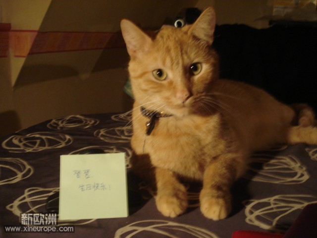 DSC00624.JPG