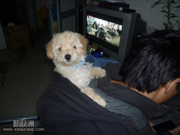 p_large_BIwU_170b0003e7e52d10.jpg