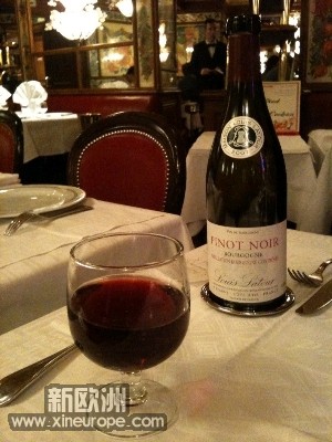 PINOT NOIR DE BOURGOGNE