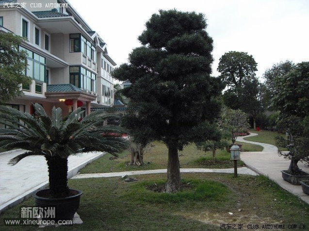 20100313022641438.jpg