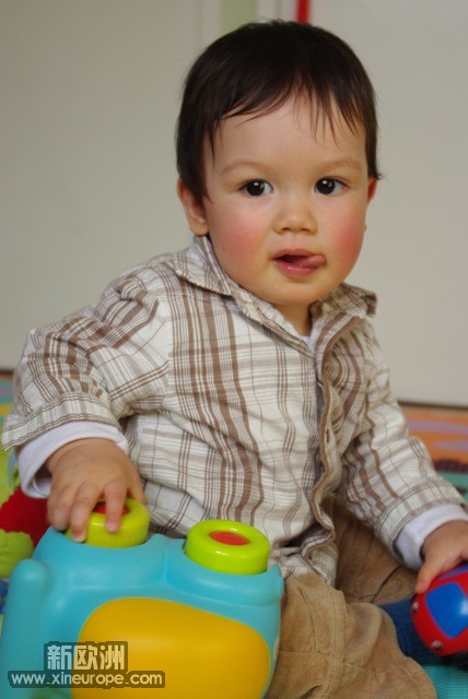 IMGP4706.jpg