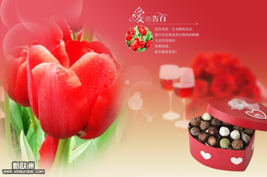 10040901208fee45e426243c19.jpg