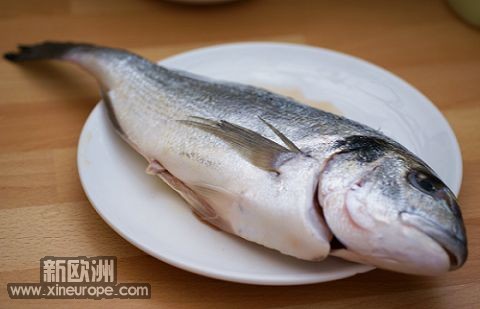 煎鱼2.jpg