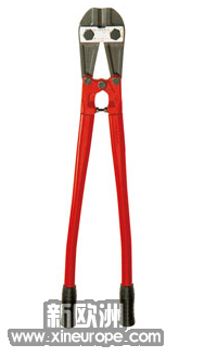 Image 1.png