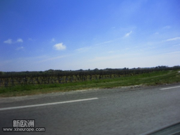2010-4-24-31.jpg