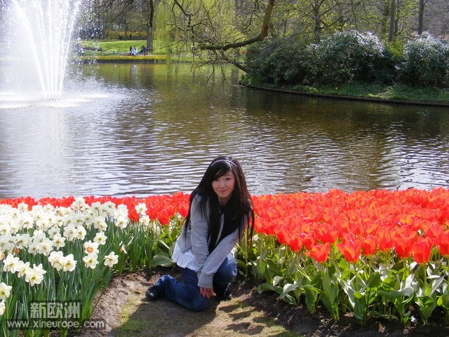 Keukenhof 郁金香公园 (3).jpg