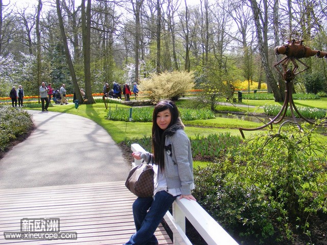 Keukenhof 郁金香公园 (1).jpg