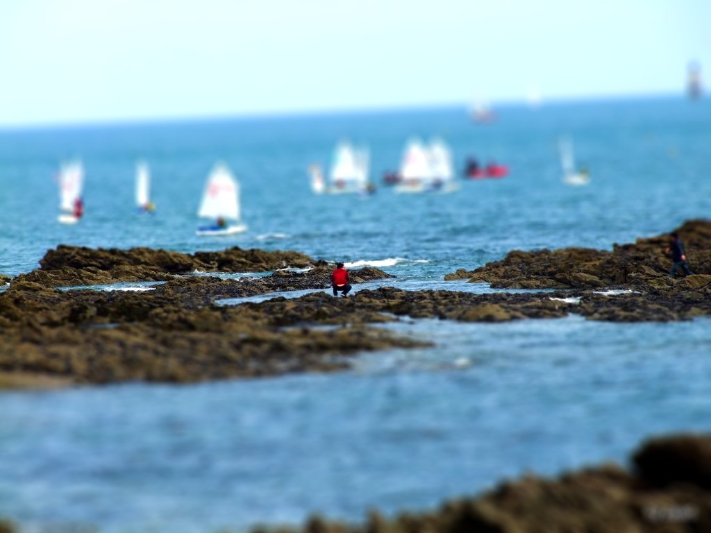 DSCF7284-tiltshift.jpg