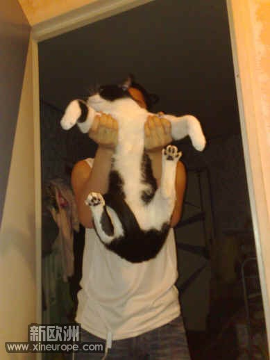 20100428191.jpg