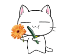 aOuY9k1a.gif