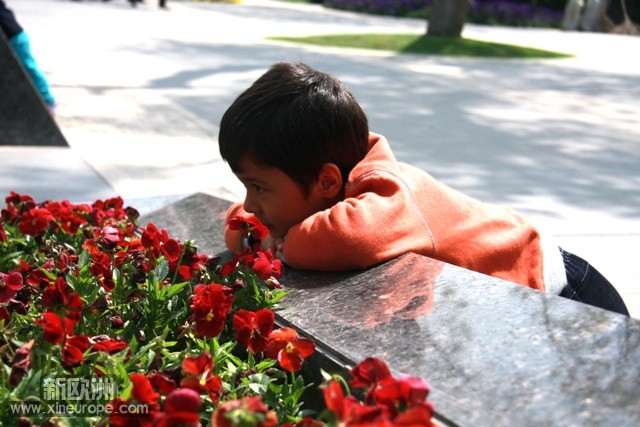 2010-04-30恐龙园 220.JPG