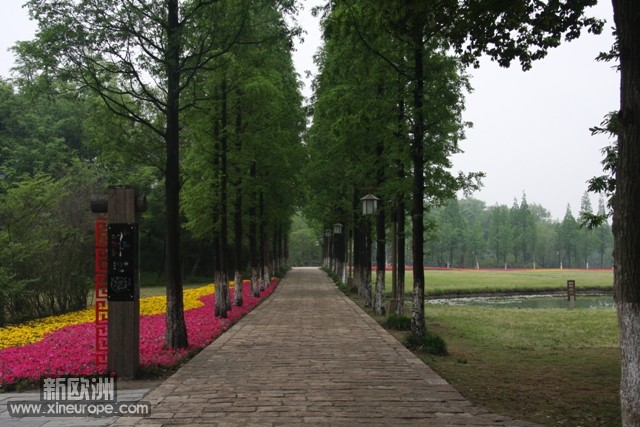 幽静小路