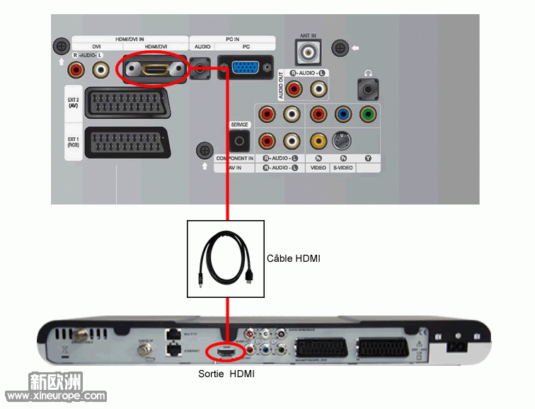 Branchement_HDMI.gif