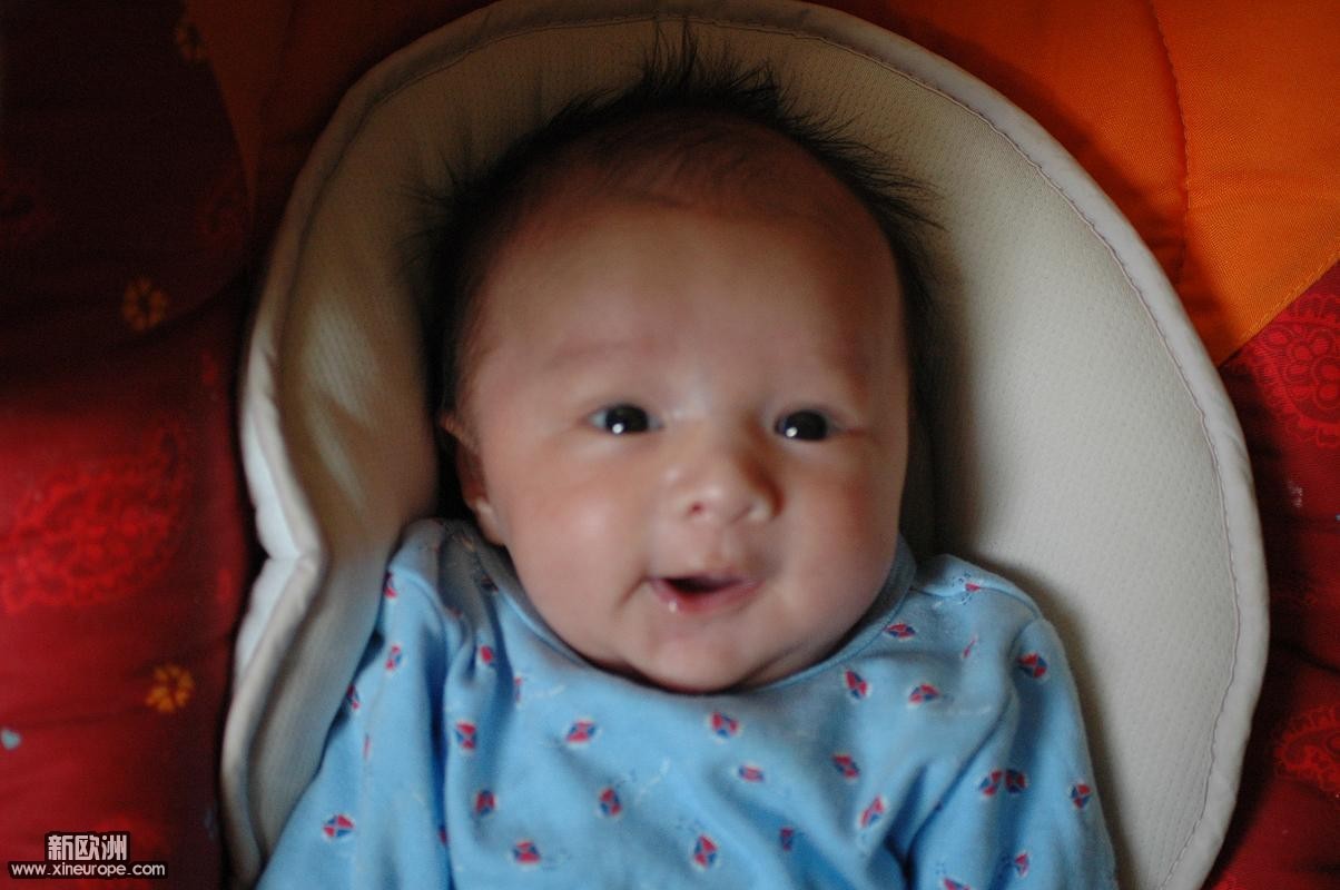 1005201043f0bc39774f36b348.jpg