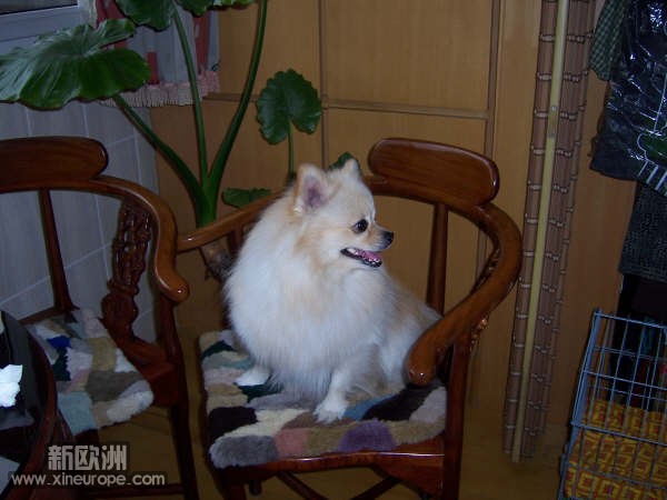 100_0038.jpg